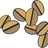 Momentto Coffee Roasters logo